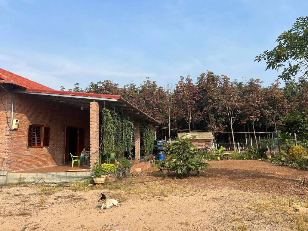 thuviennhadat.vn